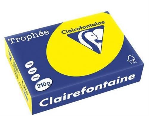 250 FG TROPHEE A4 210GR GIALLO SOLE 2210