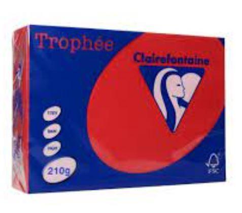 250 FG TROPHEE A4 210GR ROSSO RIBES 2211