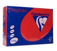 250 FG TROPHEE A4 210GR ROSSO RIBES 2211