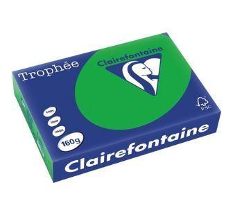 250 FG CARTONCINO A4 160GR VERDE BILIARDO TROPHEE 1007