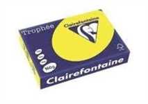 250 FG CARTONCINO A4 160GR GIALLO SOLE TROPHEE 1029