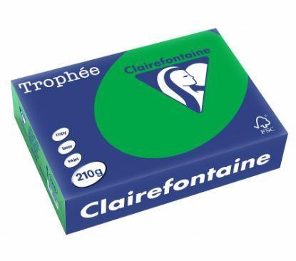 250 FG TROPHEE A4 210GR VERDE BILIARDO 2215