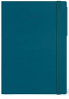 AGENDA DEL DOCENTE 13 MESI SETT. 17x24 TEAL BLUE 2024/2025