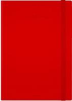 AGENDA DEL DOCENTE 13 MESI SETT. 17x24 RADIANT RED 2024/2025