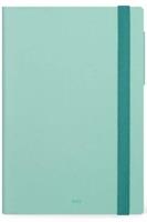 AGENDA SETTIMANALE MAXI 12 MESI 19,5x26,5 VERDE CHIARO 2025