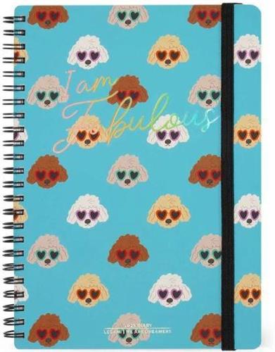 AGENDA SETTIMANALE LARGE SPIRALE 12 MESI FABULOUS 15x21 2025