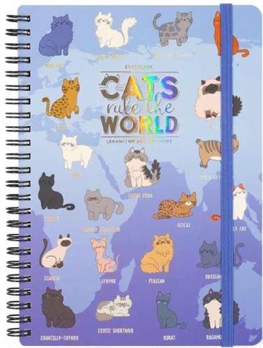 AGENDA SETTIMANALE LARGE SPIRALE 12 MESI CATS RULE 15x21 2025