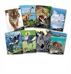 10 MAXI ANIMALI RIGHE 1a/2a/A COPERTINA 240GR. CARTA 80GR.